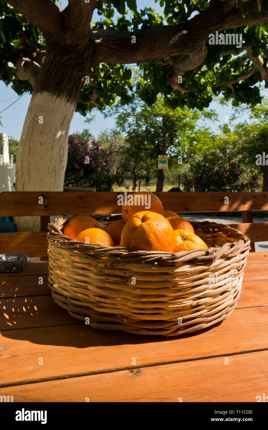 Arance in una ciotola su una tavola di legno al giardino, vicino a Sougia, costa sud-occidentale della isola di Creta, Grecia Foto Stock