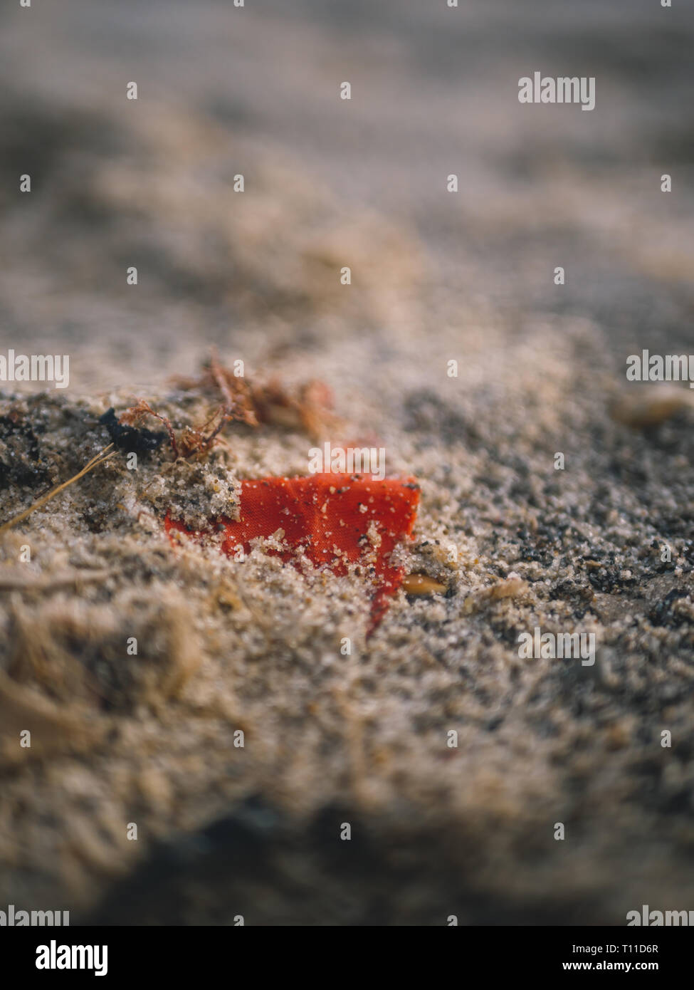 Rifiuti di plastica/rifiuti/inquinamento sulla spiaggia/sabbia in inverno REGNO UNITO Foto Stock