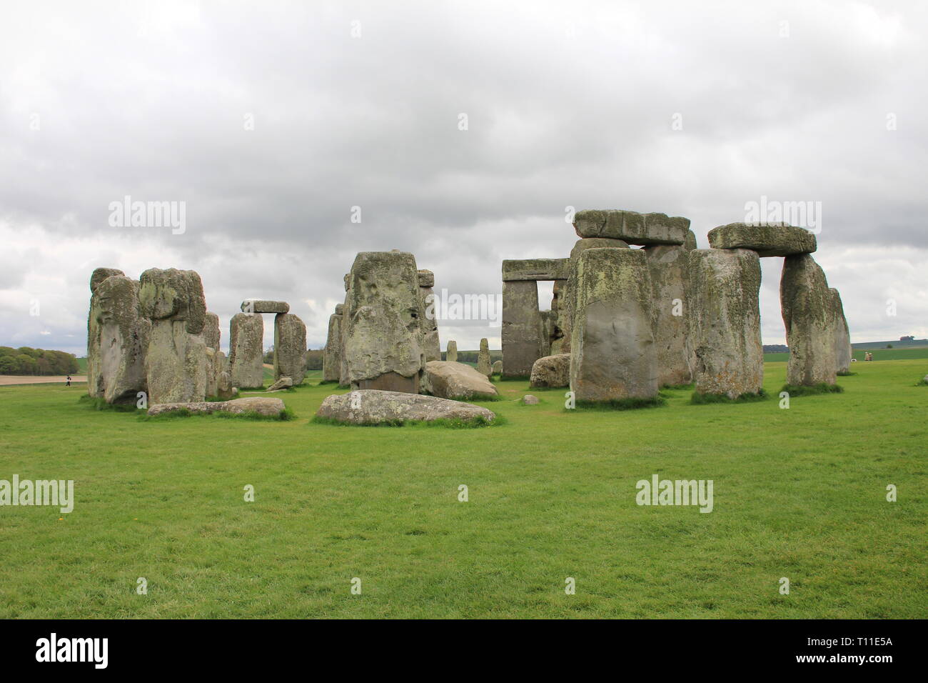 Stonehenge, Wiltshire. Inghilterra Foto Stock