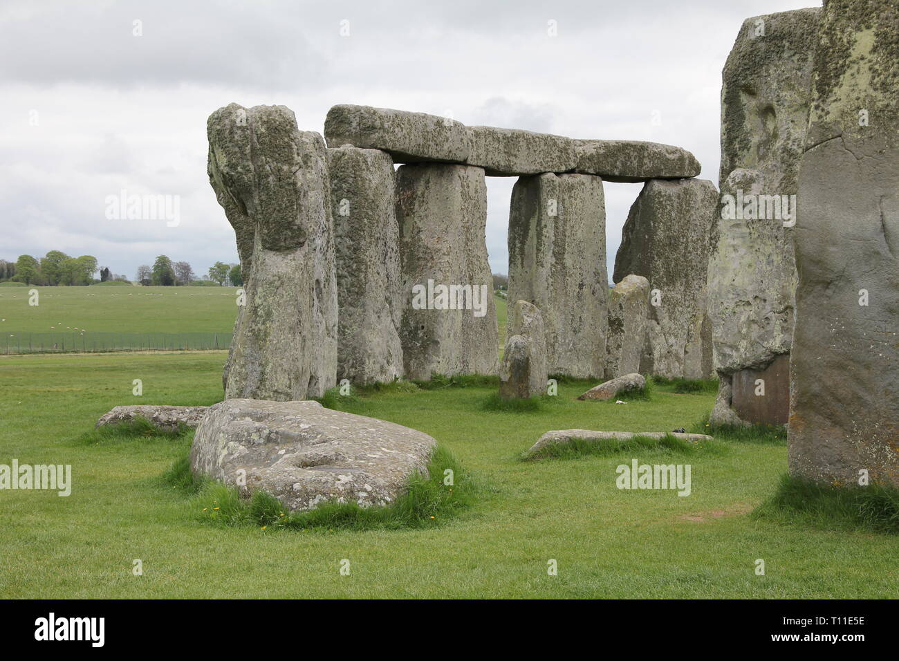 Stonehenge, Wiltshire. Inghilterra Foto Stock
