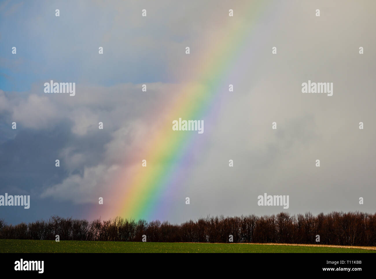 Ense, Sauerland, Renania settentrionale-Vestfalia, Germania - Paesaggio con arcobaleno. Ense, Sauerland, Nordrhein-Westfalen, Deutschland - Landschaft mit Regenbog Foto Stock