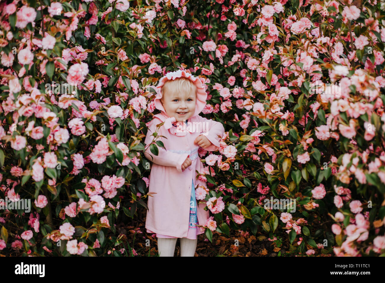 Graziosa bambina indossa rosa cofano e abito rosa in fiore bush di rosa camelia nella soleggiata giornata di primavera Foto Stock