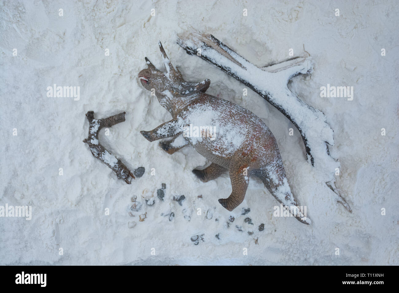 Triceratops morto sotto la neve in epoca di estinzione Foto Stock