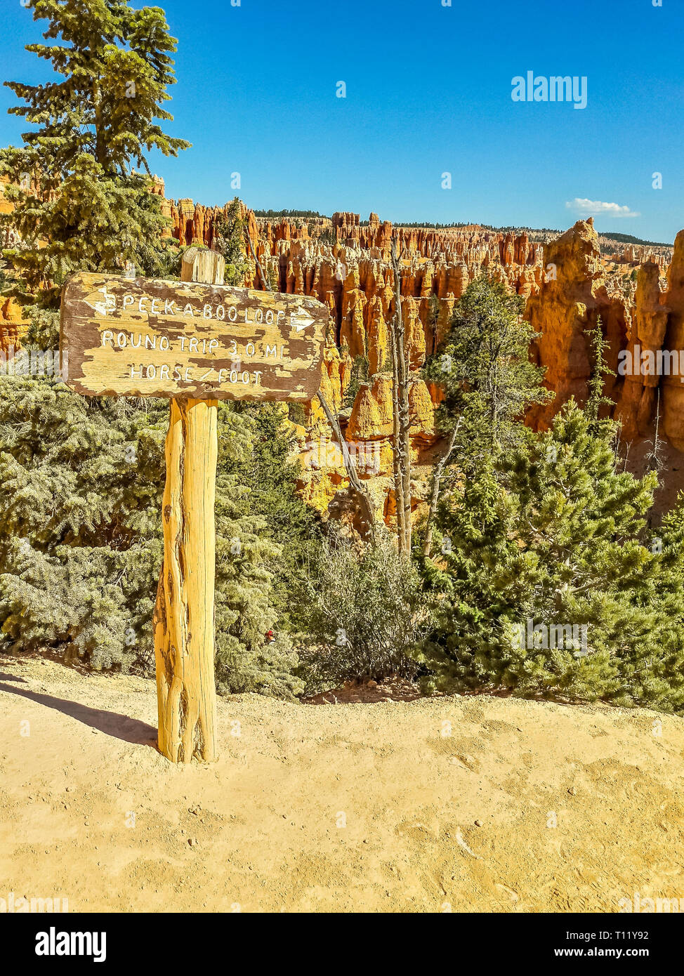 Escursionismo in anfiteatri di Bryce Canyon National Park nello Utah Stati Uniti d'America Foto Stock