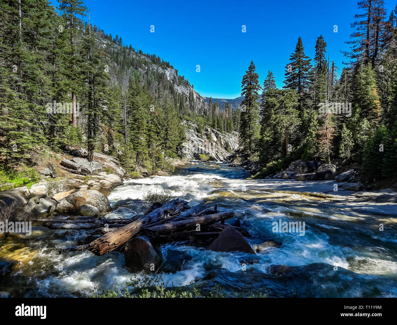 Fiume nel parco nazionale di Yosemite, California USA Foto Stock