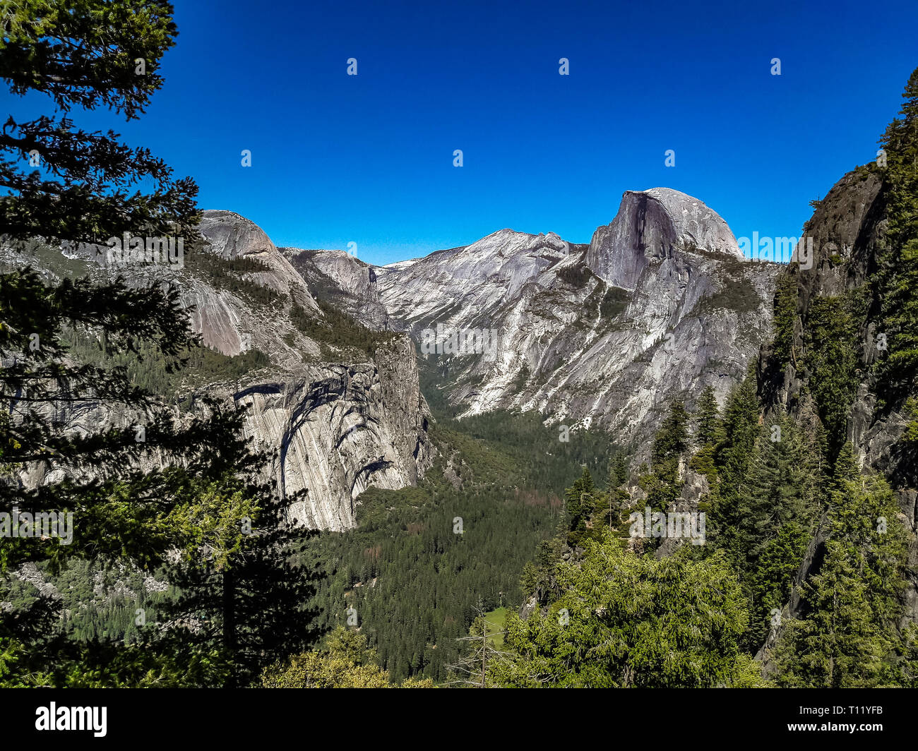 Vista sulla mezza cupola e le cascate Yosemite National Park, California USA Foto Stock