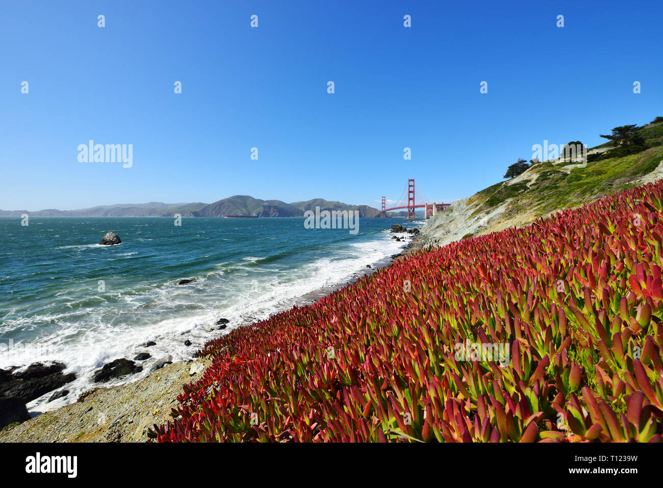Il Ponte Golden Gate e la baia di San Francisco da Marshall's Beach Foto Stock