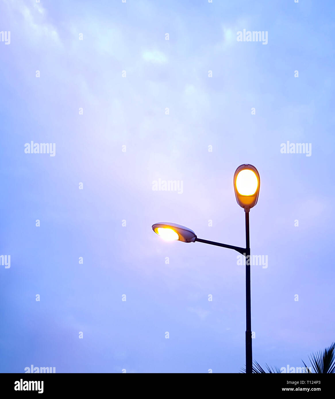 Luci di strada che brillano di luce nella sera e isolate contro il cielo blu crepuscolo. Foto Stock