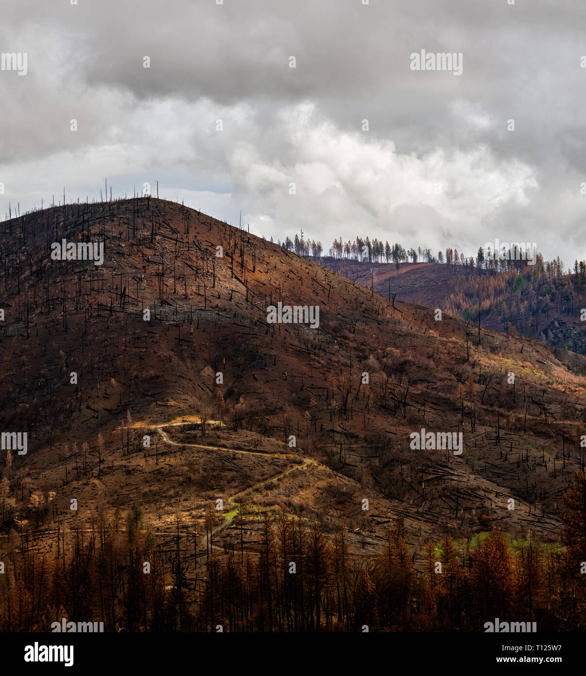 Nuvole temporalesche passando sopra una collina bruciato pochi mesi dopo il falò che ha colpito la Butte County, California nel 2018. Foto Stock