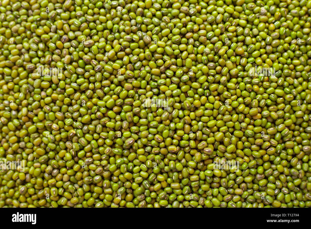 Verde fagiolo materie di una copertura completa di texture di pattern per il cibo sano sfondo. Foto Stock