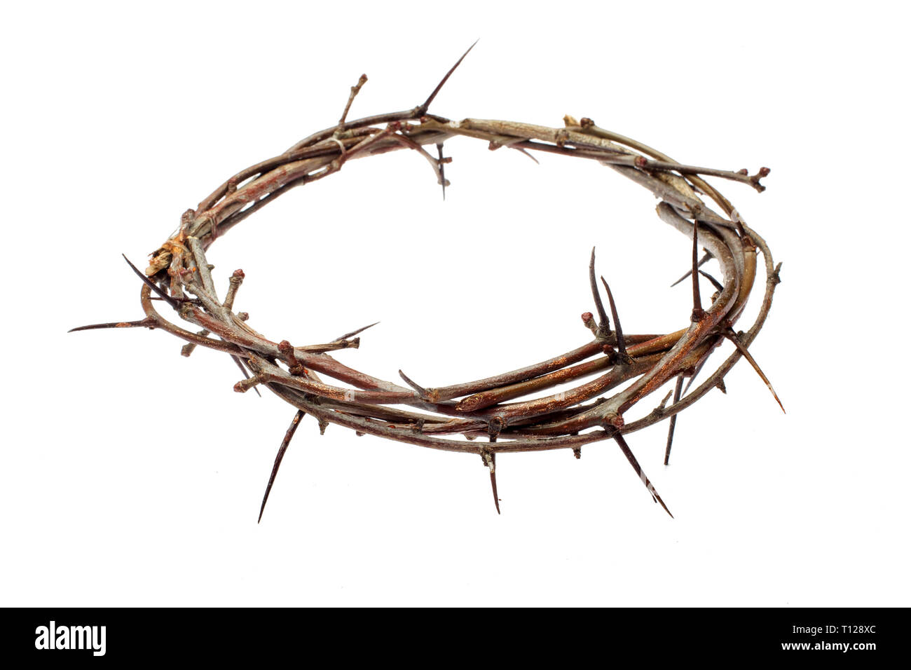 La corona di spine di Gesù Cristo isolaten su bianco Foto Stock