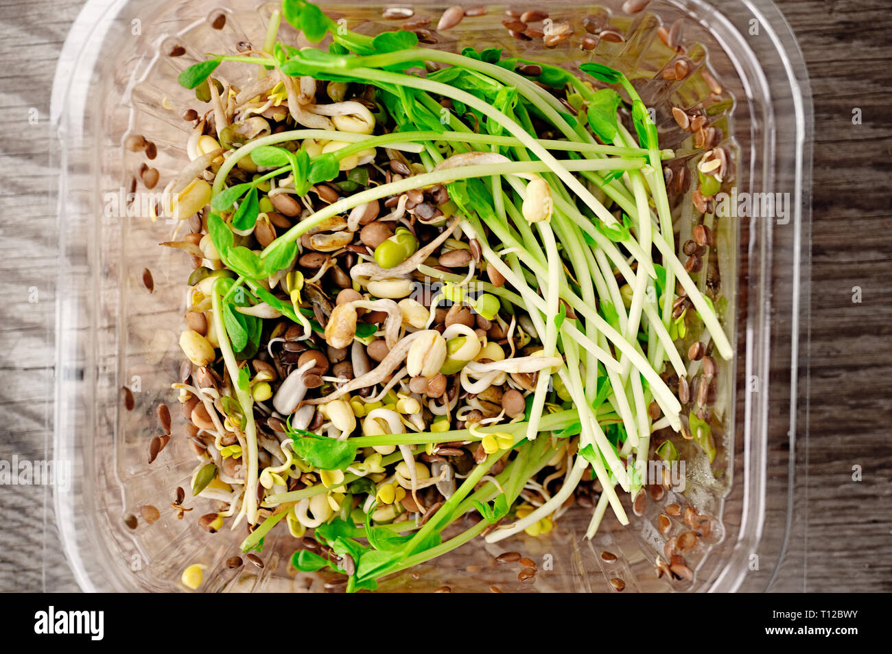 Insalata di semi germinati di lino lenticchie piselli e altri cereali. Macrobiotica concetto alimentare. Foto Stock