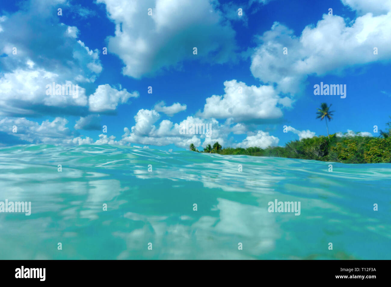 Paesaggio dei Caraibi, vacanza in paradiso, il mare blu e le palme Foto Stock