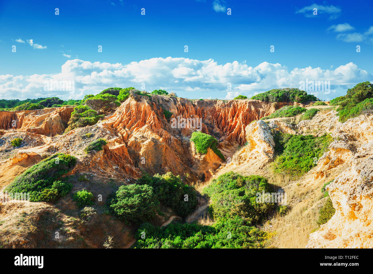 Paesaggio di montagna con piante verdi, attrazioni naturali del Portogallo Foto Stock