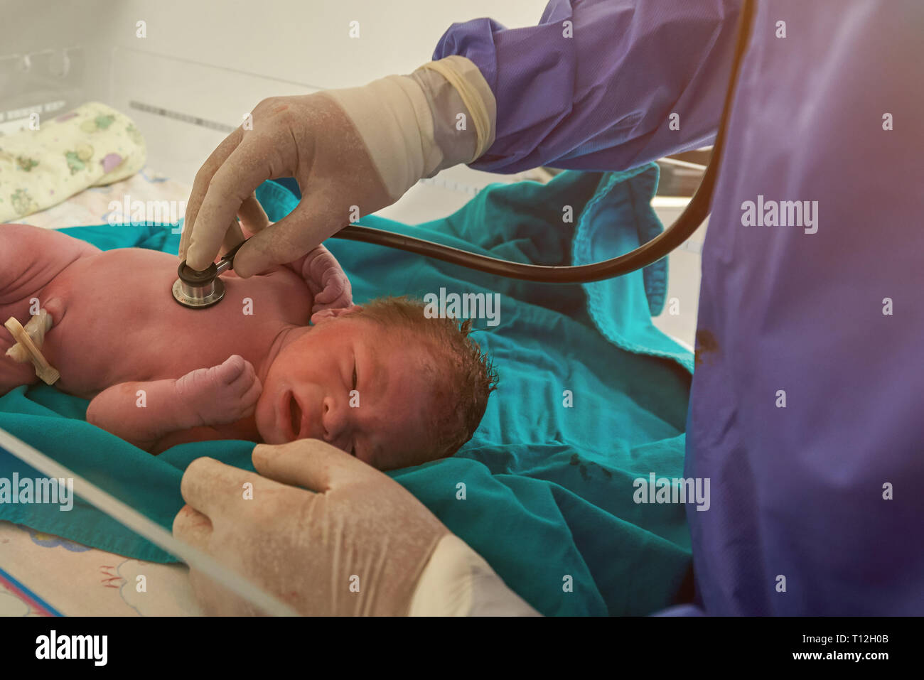 Esame del neonato dal medico con stetoscopio in vista da vicino Foto Stock
