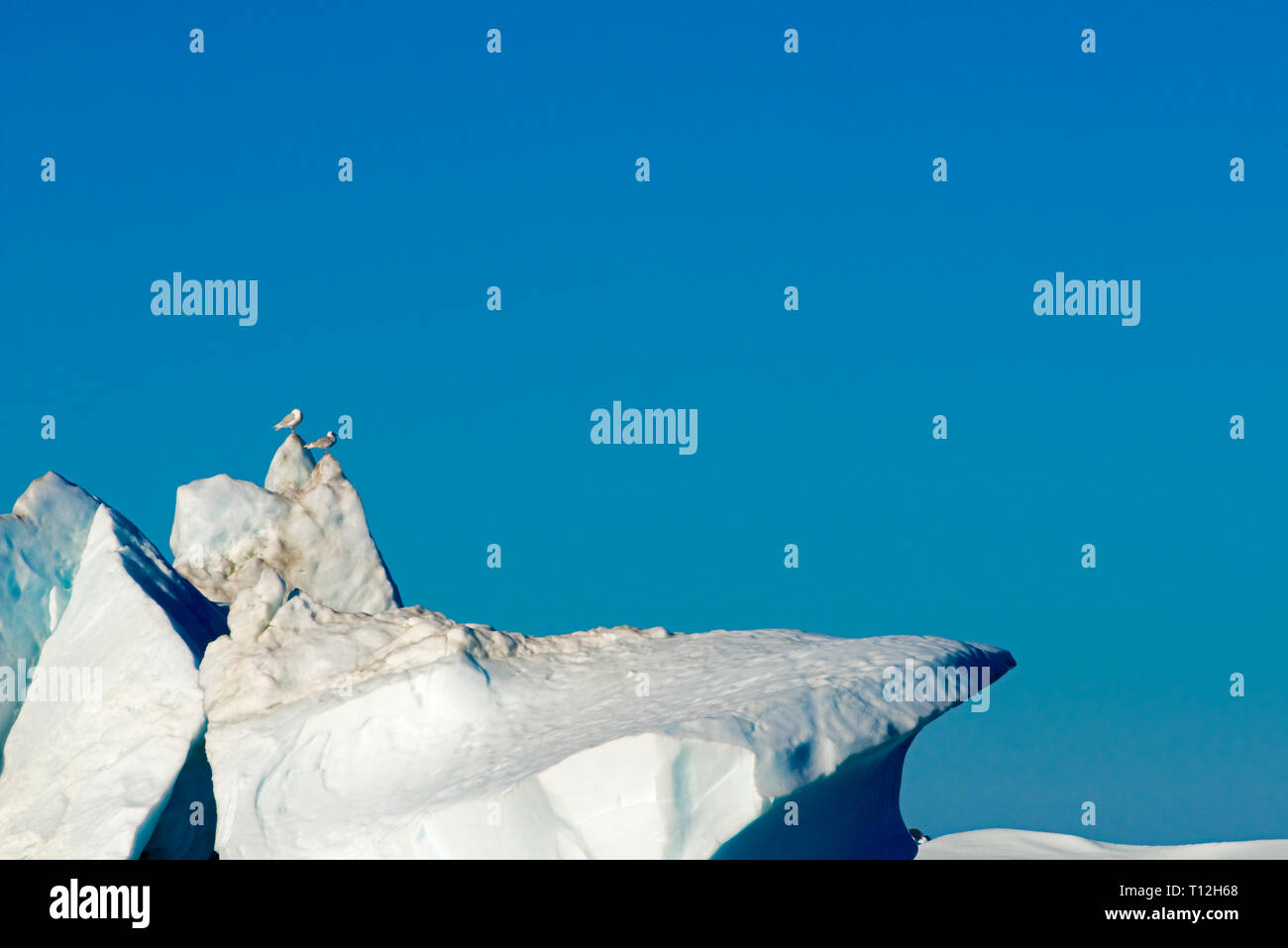 Iceberg galleggianti a Ilulissat icebergs, Groenlandia Foto Stock