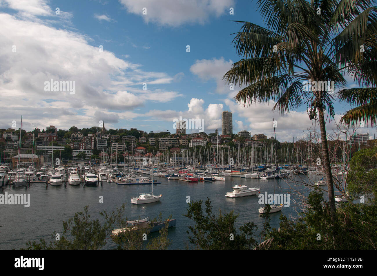 Rushcutters Bay, Sydney Foto Stock