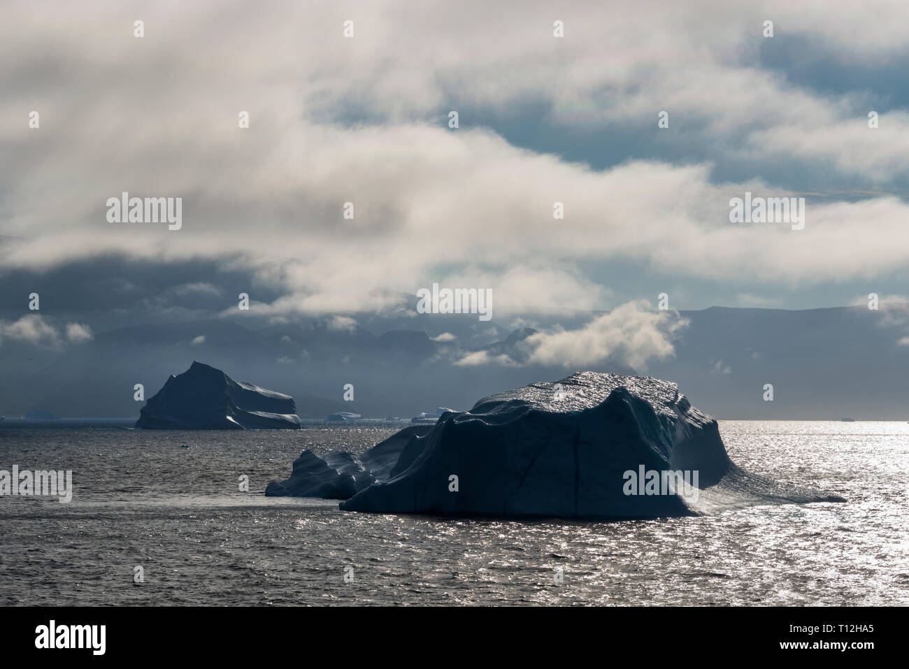 Iceberg galleggianti nell'oceano, Groenlandia Foto Stock