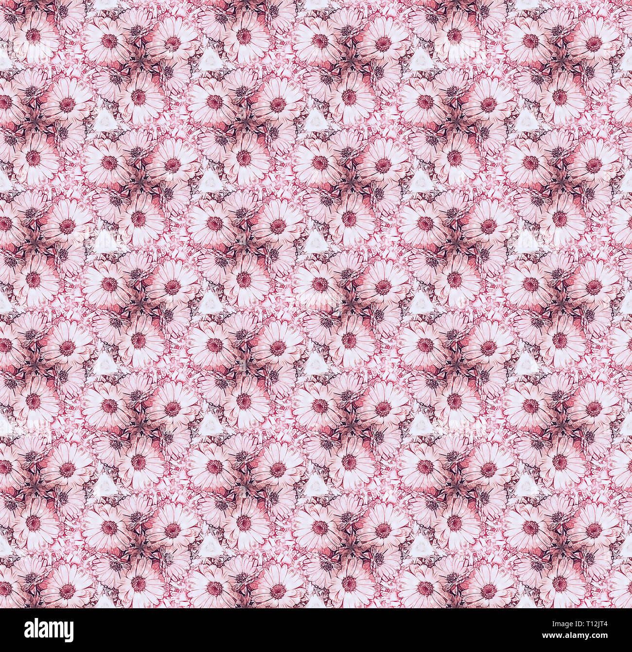 Seamless pattern calendula fiori rosa. Uno sfondo per la progettazione, scrapbooking. Foto Stock