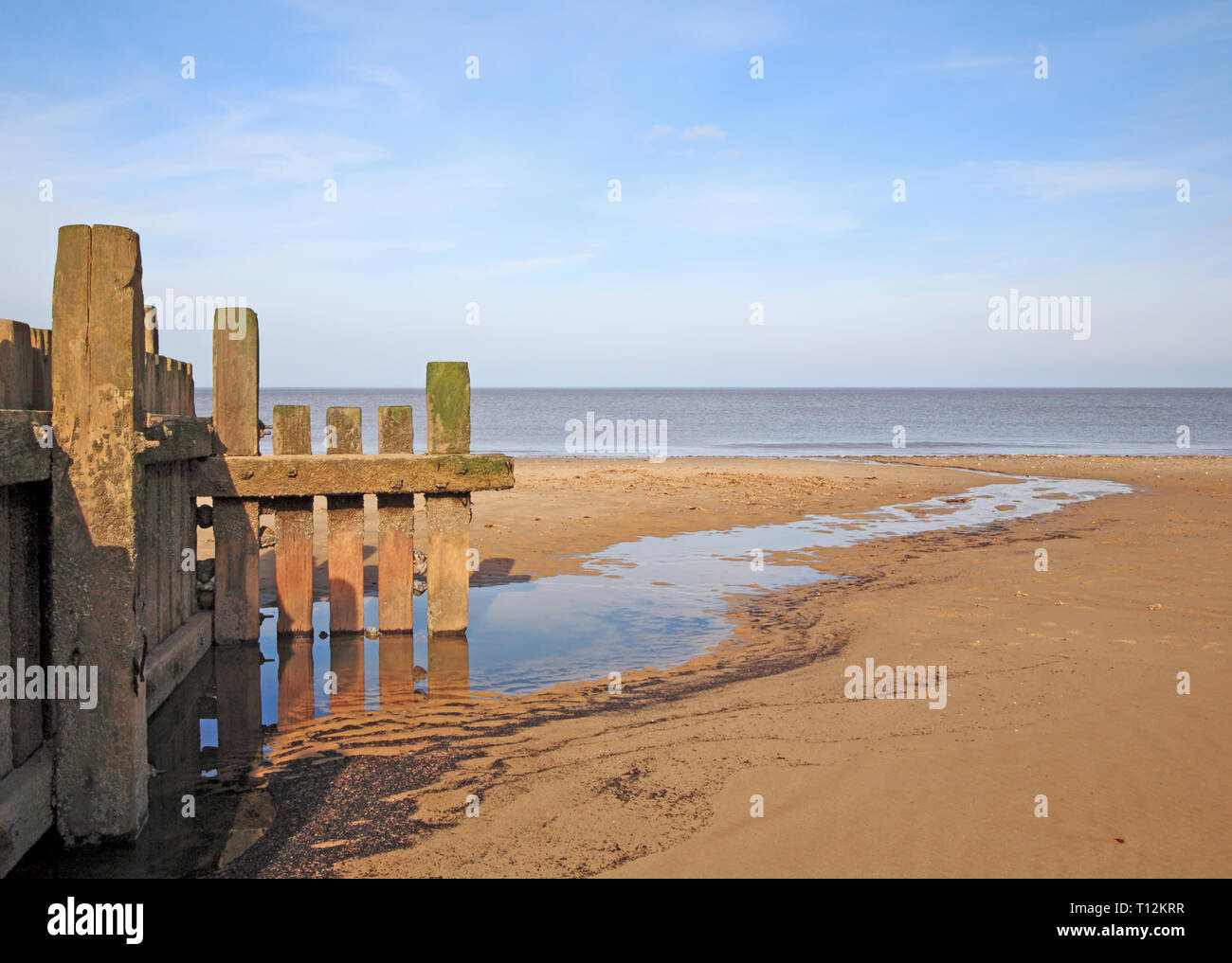 Fine di un frangiflutti in legno con scarico a mare con la bassa marea sulla Costa North Norfolk a Bacton-on-Sea, Norfolk, Inghilterra, Regno Unito, Europa. Foto Stock