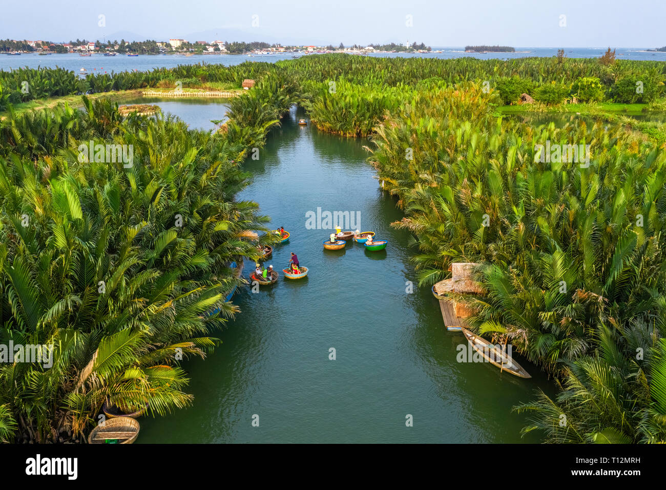 Vista aerea, i turisti provenienti dalla Cina, Corea, America, Russia un cestello tour in barca in acqua di cocco ( mangrove palm ) forest Hoi An, Quang Nam, Vietnam Foto Stock