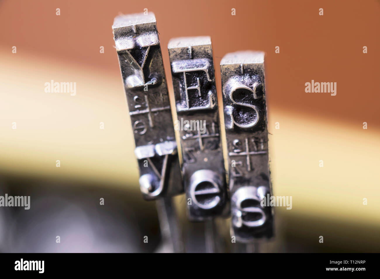 Macrofotografia di nastri inchiostratori per macchine da scrivere martelli con Sì parola Foto Stock