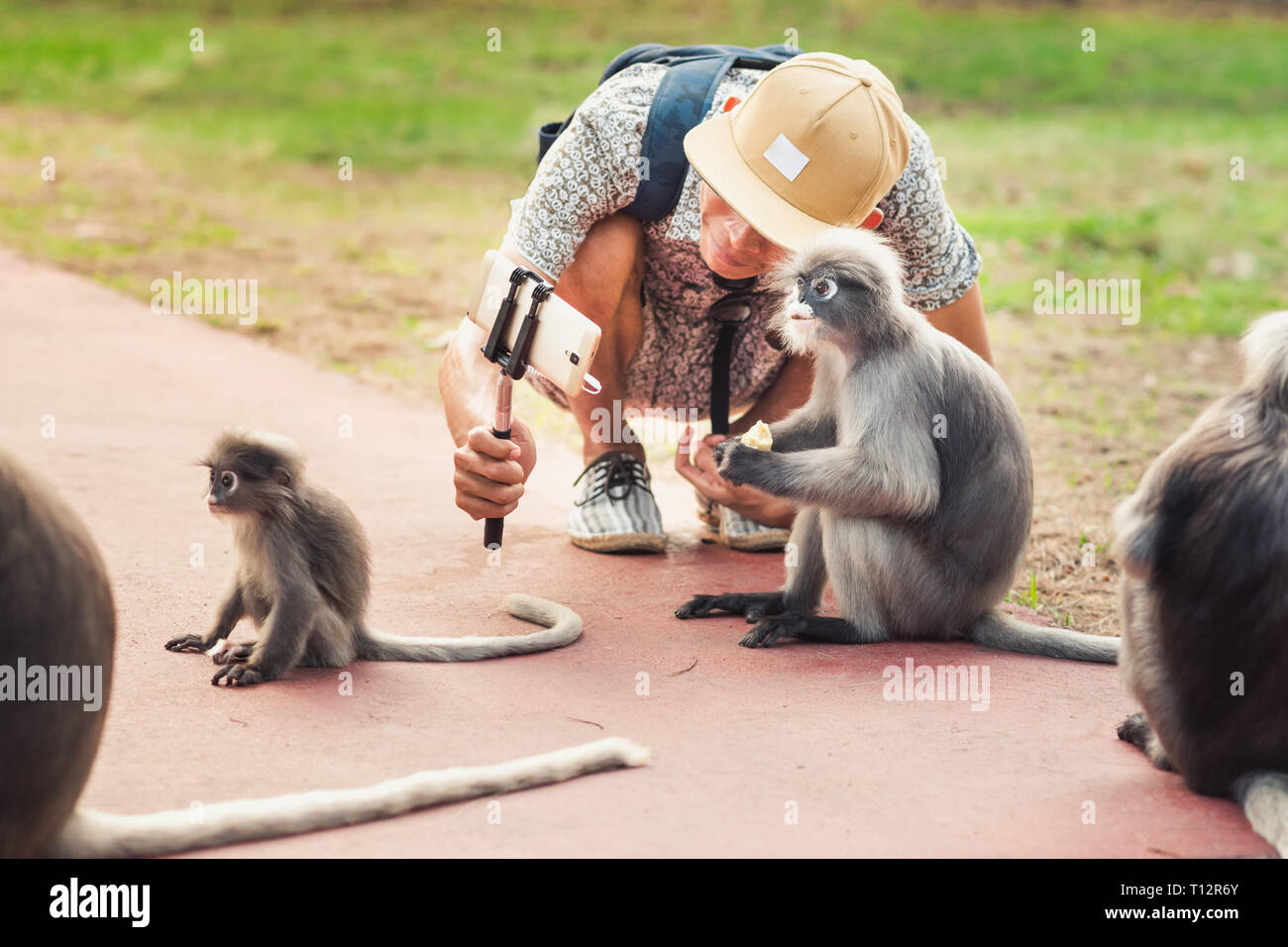 Travel selfie con divertenti scimmie. Giovane uomo scatta una foto con gli animali selvatici. Foto Stock