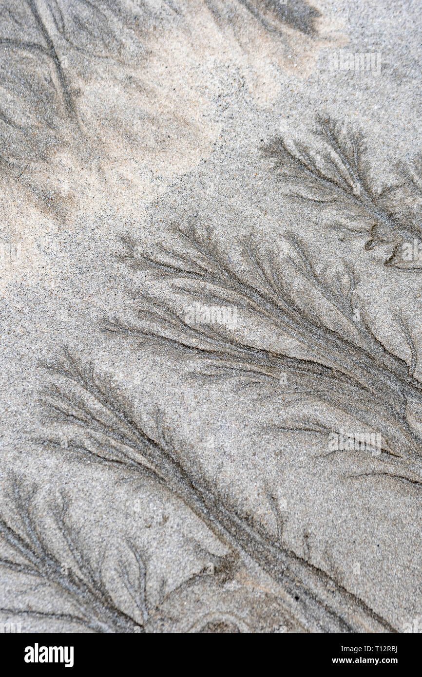 Flussi di sabbia fluida sedimentari, flussi d'acqua simili a Marte su una spiaggia di marea. Metafora 'andare con il flusso', movimento, paesaggio proprio come Marte. Foto Stock