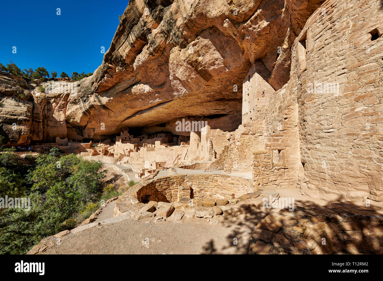 Cliff Palace, cliff dwellings in Mesa-Verde-Parco Nazionale, sito patrimonio mondiale dell'UNESCO, Colorado, Stati Uniti d'America, America del Nord Foto Stock