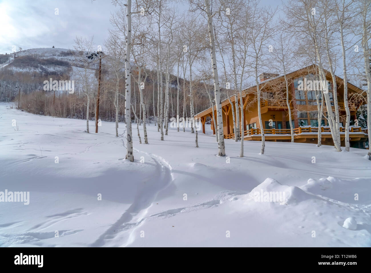 Vacilla aspens e cabina sulla montagna innevata in Utah. Un accogliente cabina su montagne coperte di neve in Park City, Utah in inverno. Un boschetto di vacilla aspen t Foto Stock