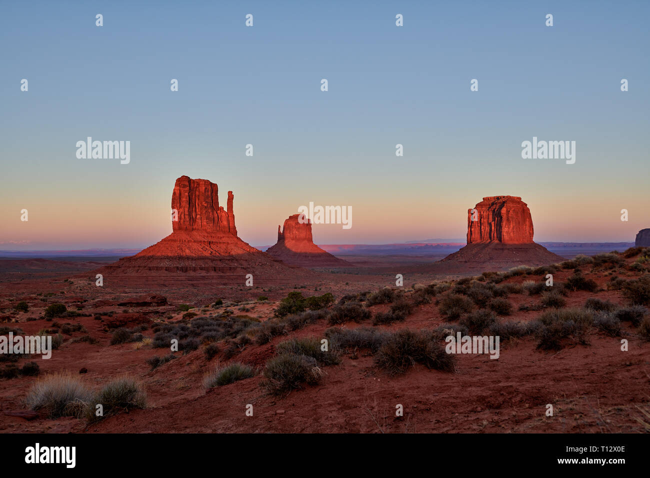 Le muffole, Monument Valley, Arizona, USA, America del Nord Foto Stock