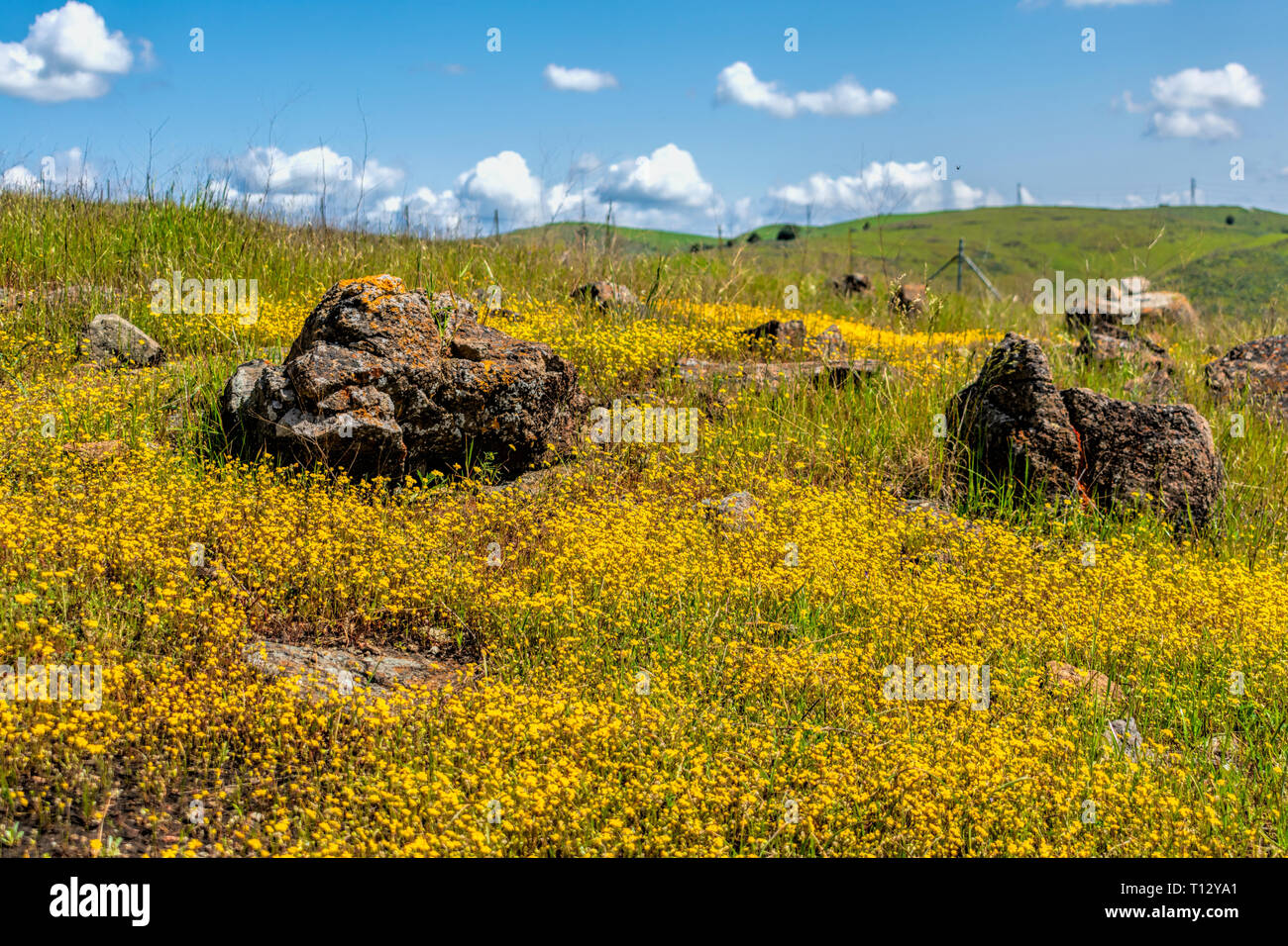 Il giallo e il verde paesaggio coperto con rocce sparse sotto il bellissimo cielo Foto Stock
