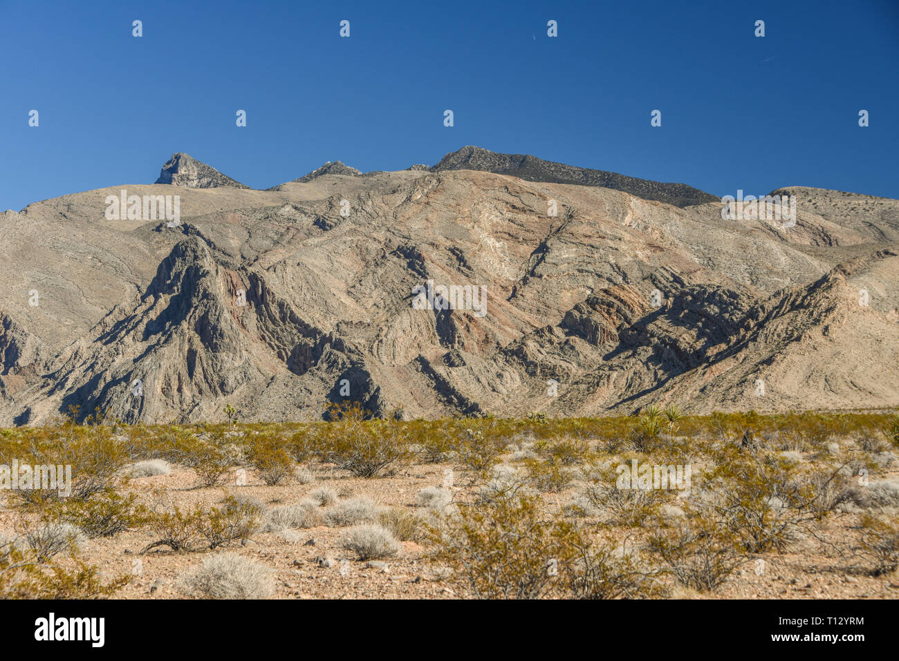 Gold Butte National Monument, Bunkerville, Nevada, Stati Uniti d'America, America del Nord Foto Stock