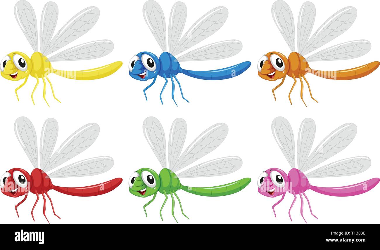 Set di caratteri di libellula illustrazione Illustrazione Vettoriale