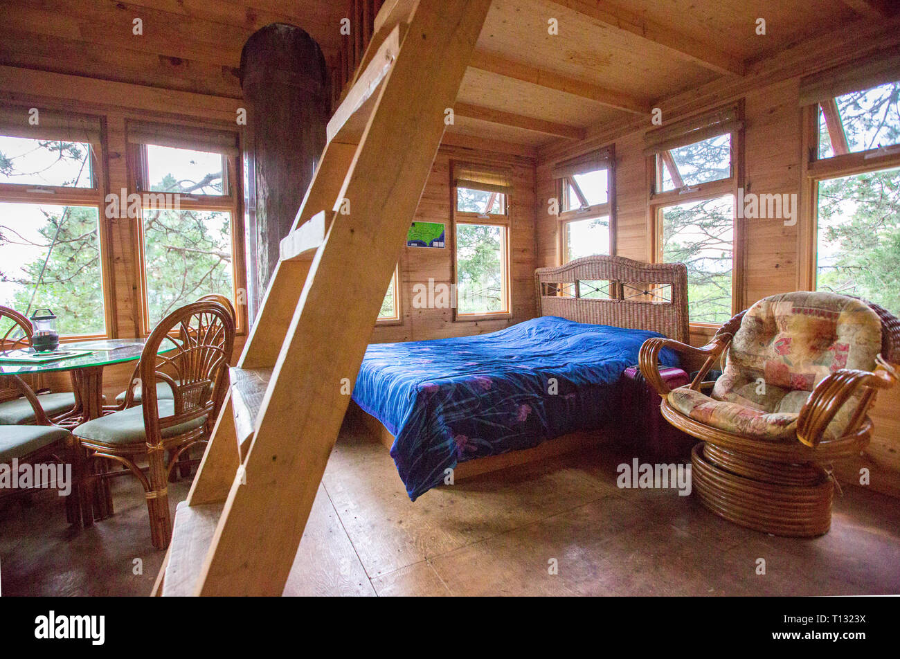 All'interno di una treehouse presso il Parc Aventures Cap Jaseux in Saguenay-Lac-Saint-Jean, Québec Foto Stock
