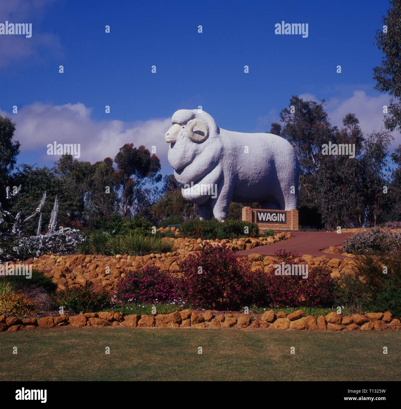 Il gigante di RAM A WAGIN fu commissionata nel 1985 per commemorare i distretti industria laniera, Western Australia. Foto Stock