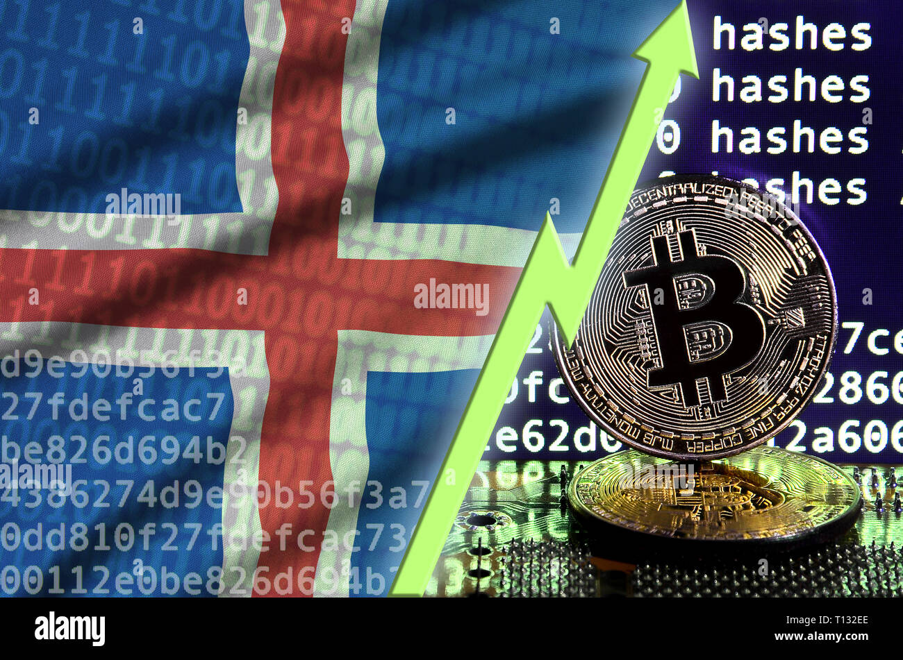 Bandiera dell'Islanda in aumento e freccia verde sul bitcoin mining schermo e due physical golden bitcoins. Concetto di alta conversione in cryptocurrency mining Foto Stock