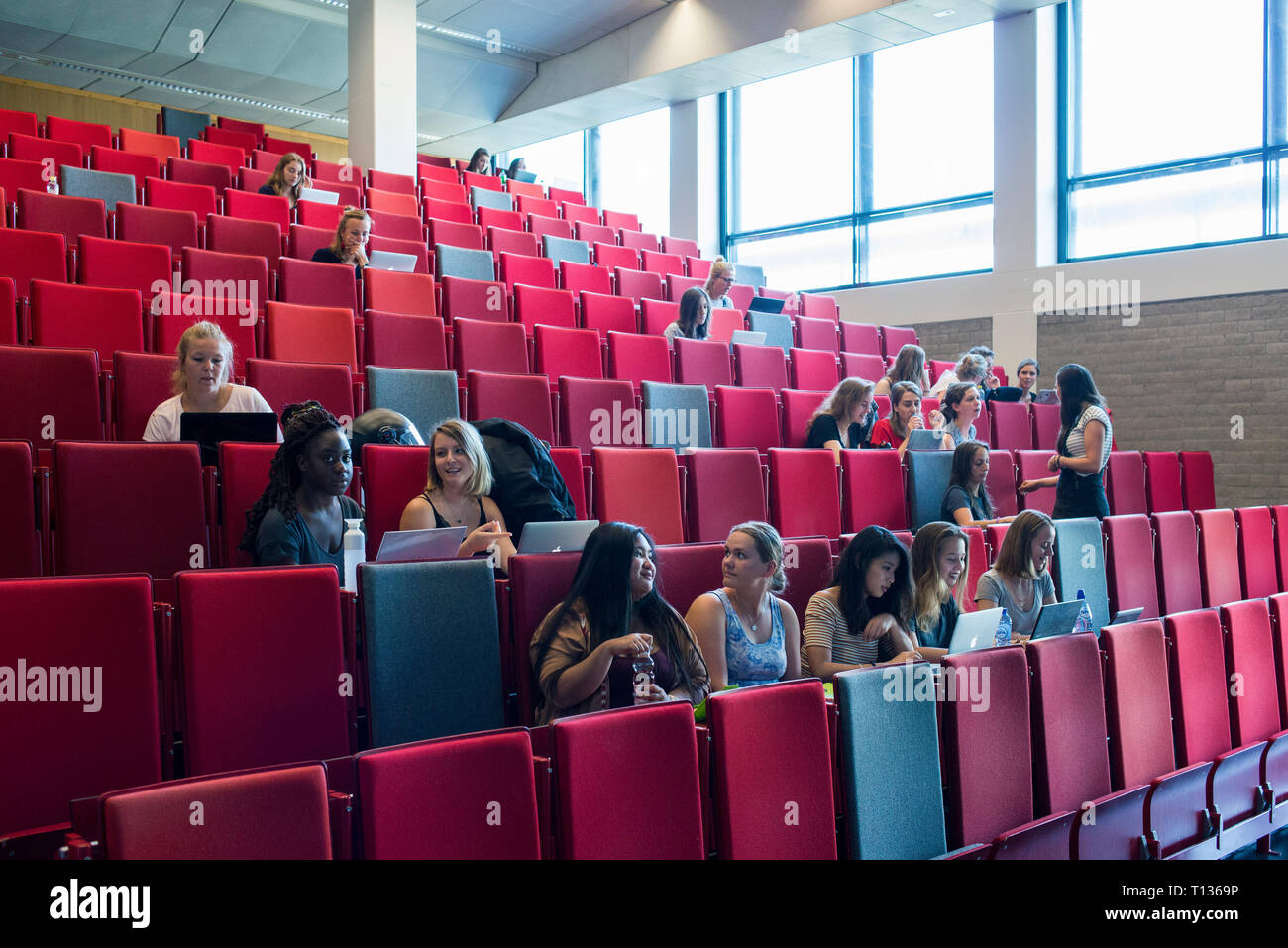 Una grande lezione inclinata theatre classroom in una università olandese. Foto Stock