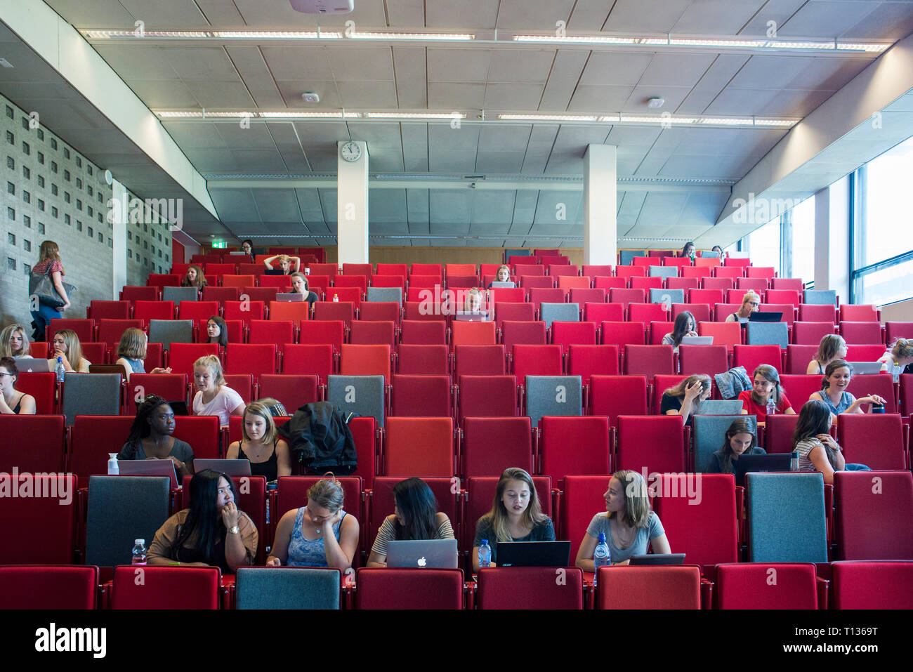 Una grande lezione inclinata theatre classroom in una università olandese. Foto Stock