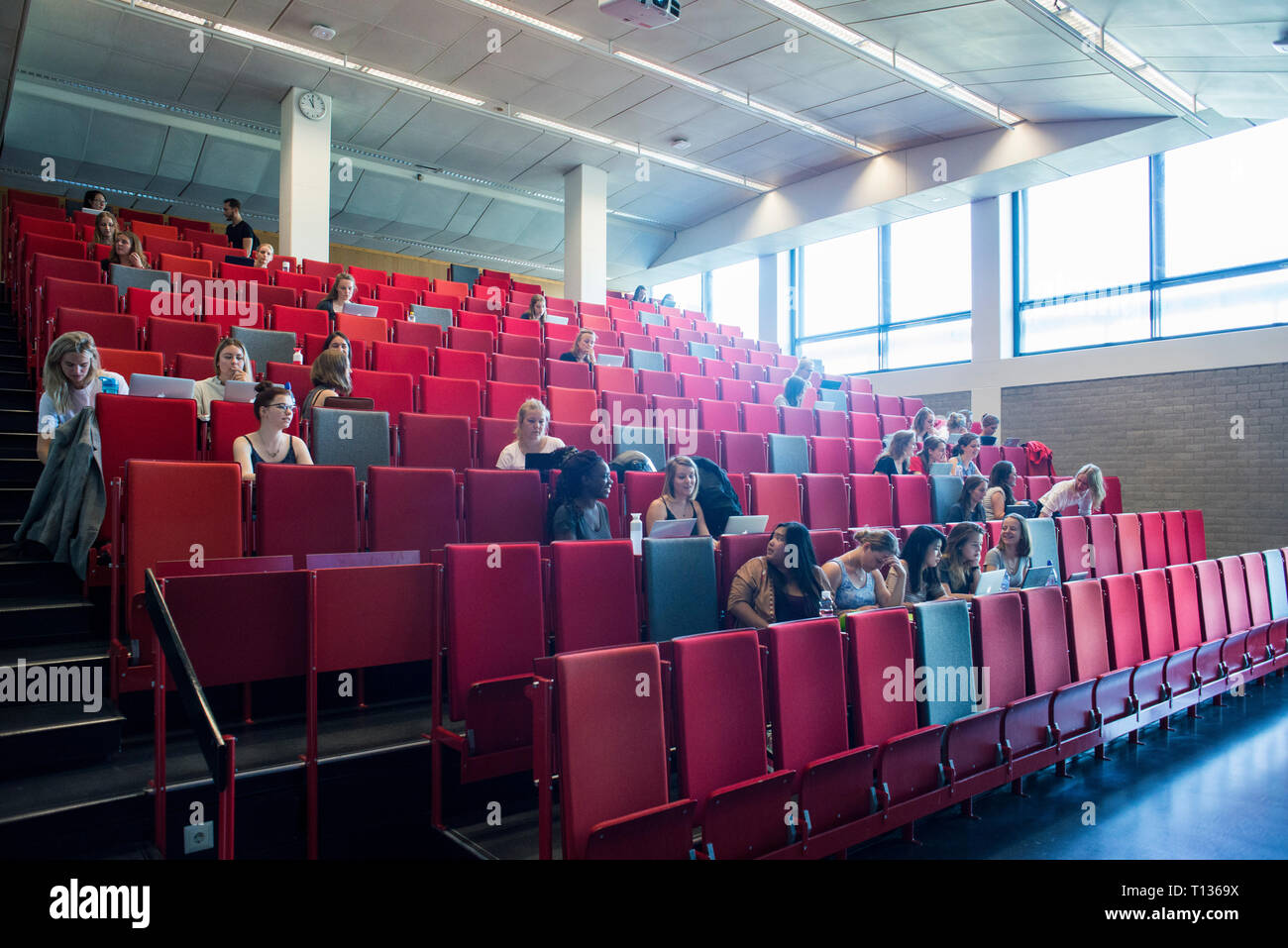 Una grande lezione inclinata theatre classroom in una università olandese. Foto Stock