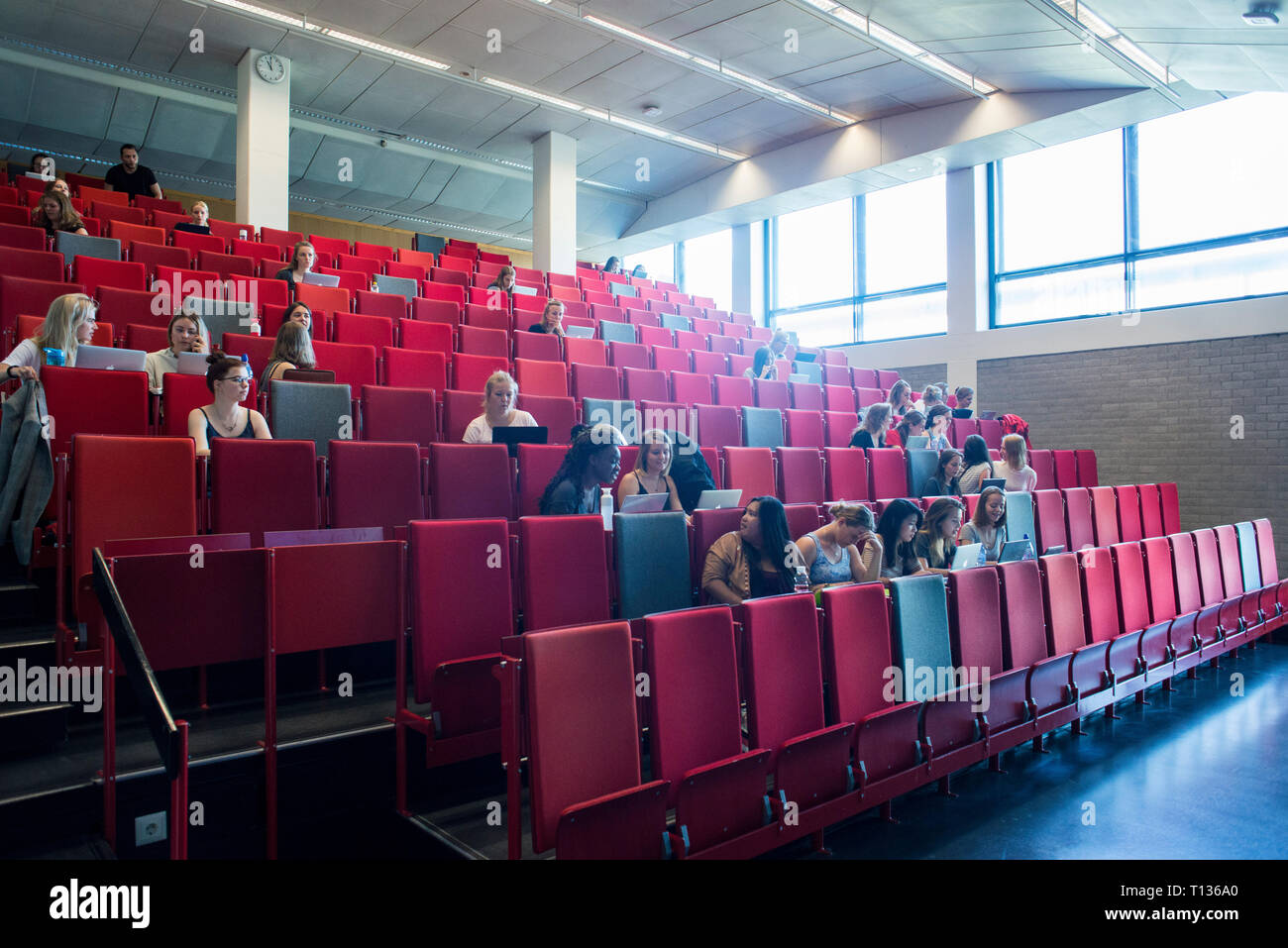 Una grande lezione inclinata theatre classroom in una università olandese. Foto Stock