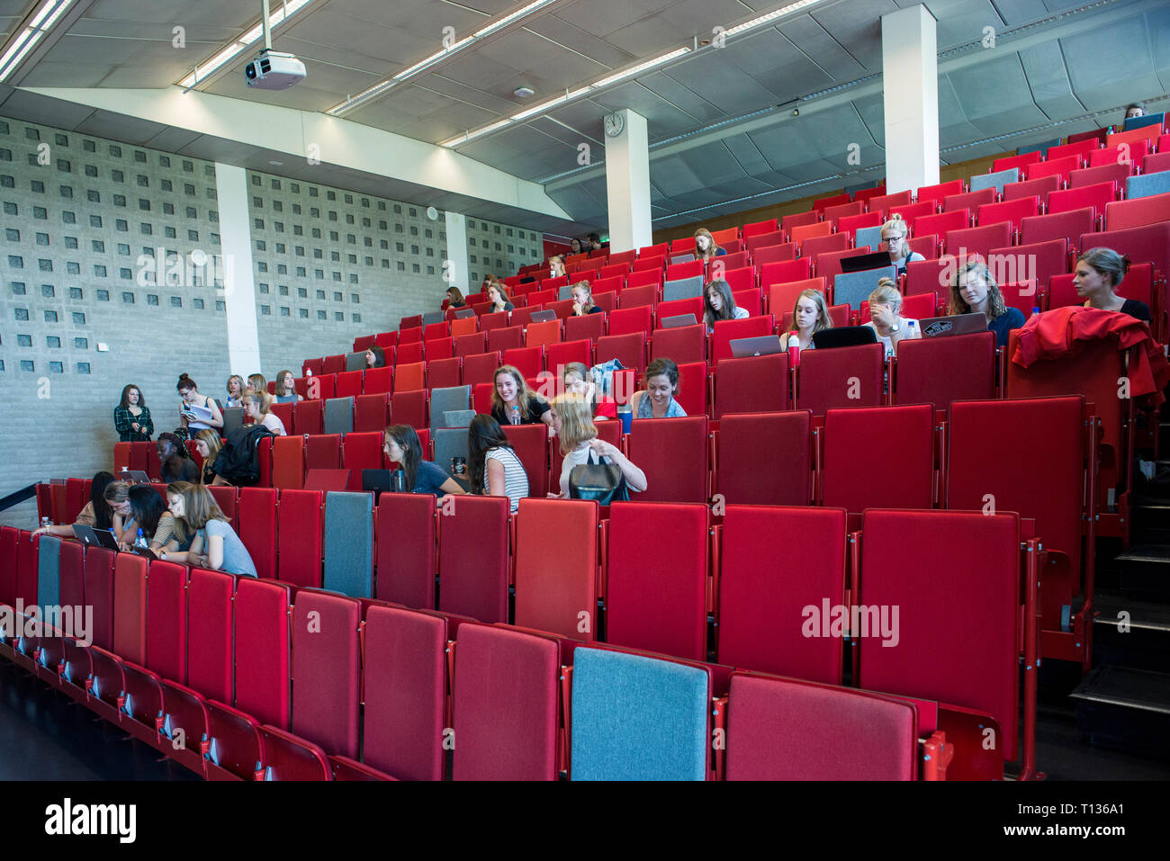 Una grande lezione inclinata theatre classroom in una università olandese. Foto Stock