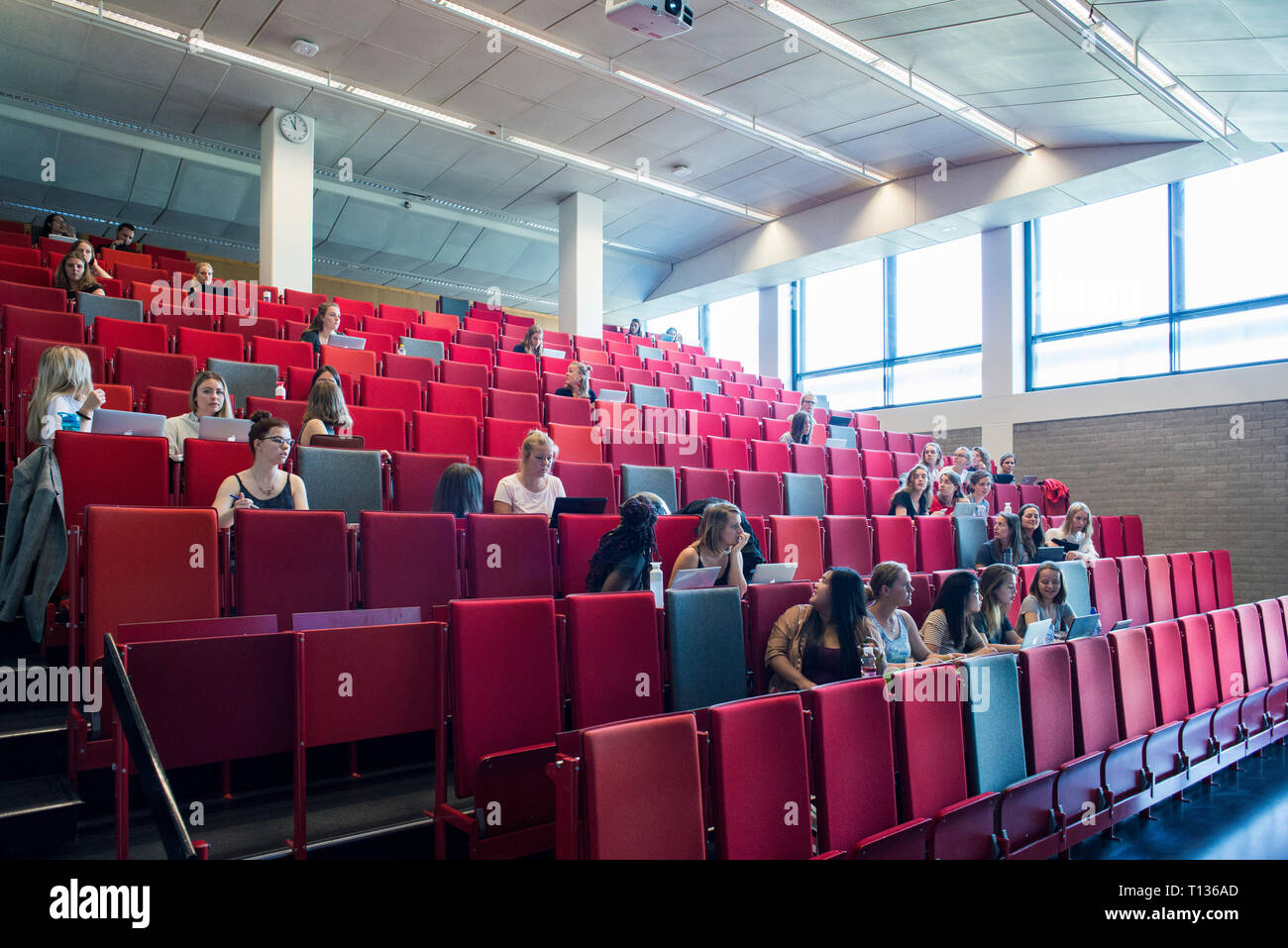 Una grande lezione inclinata theatre classroom in una università olandese. Foto Stock