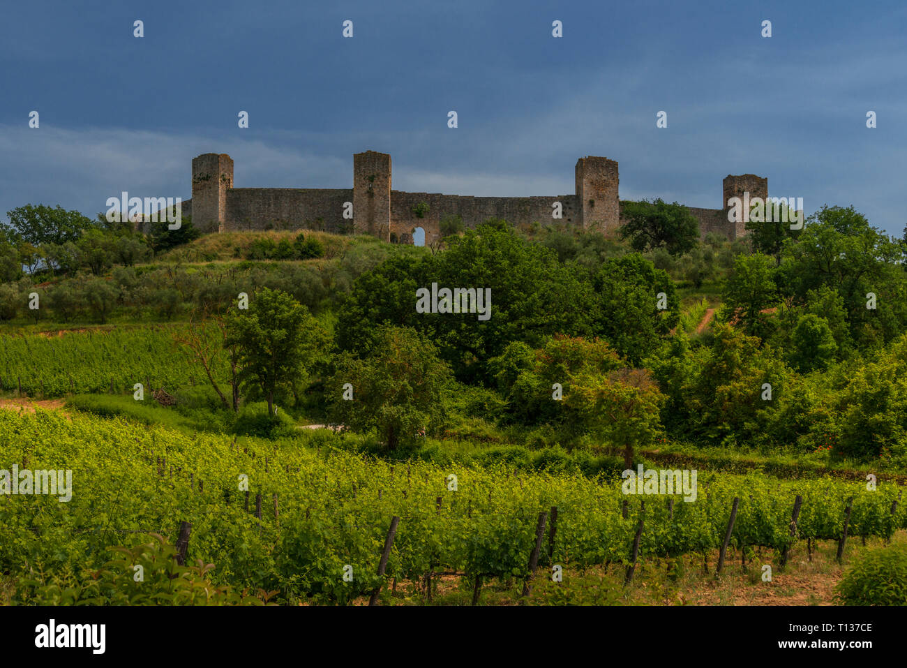 L'italiano, murata medievale Collina Toscana Borgo di Monteriggione. Guardando oltre tali vigneti. Foto Stock