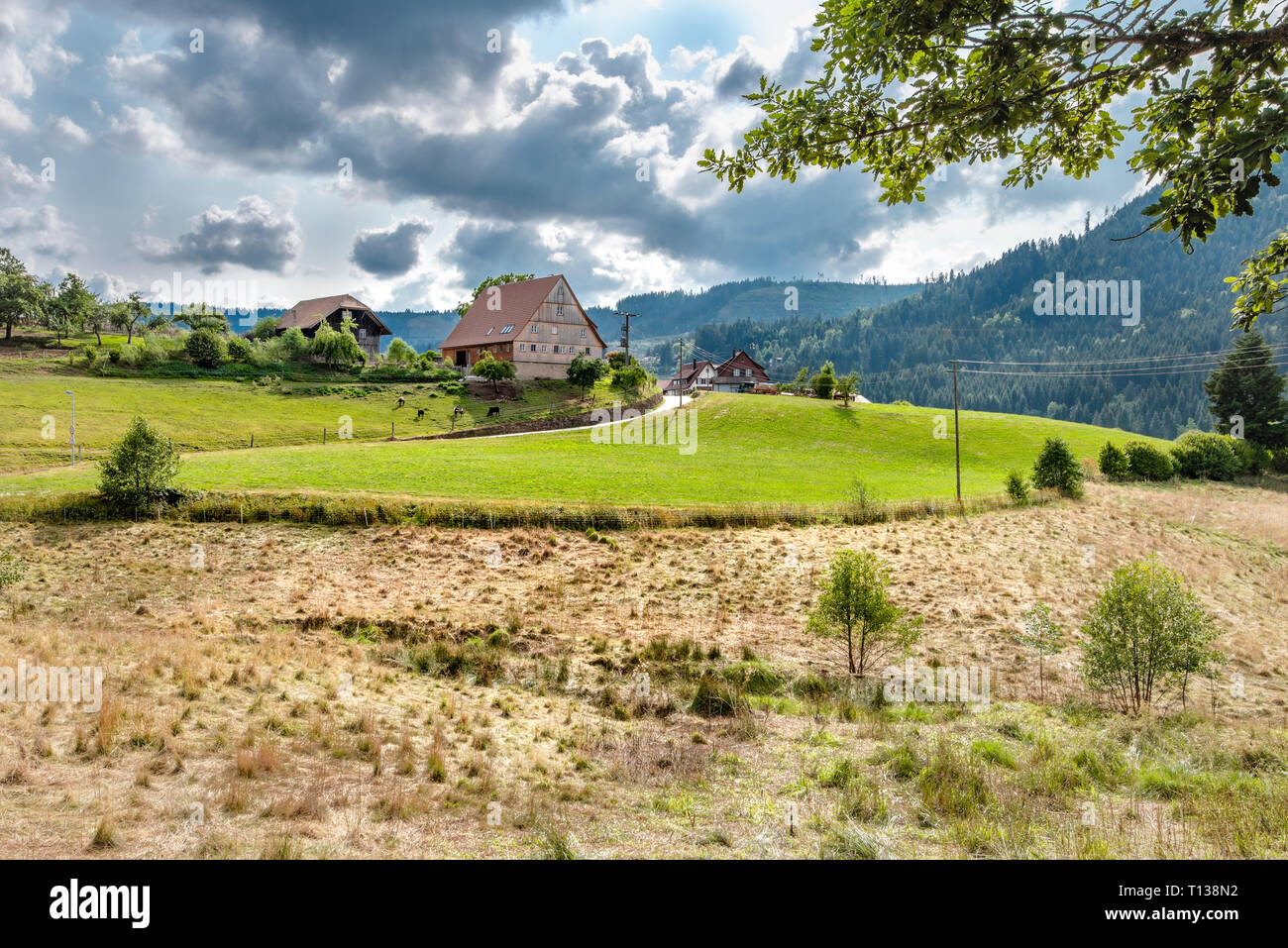 Grande vecchia fattoria con prati circostanti sul territorio di Baiersbronn, Foresta Nera settentrionale, Germania, villaggio Schönegründ nella valle Murg Foto Stock