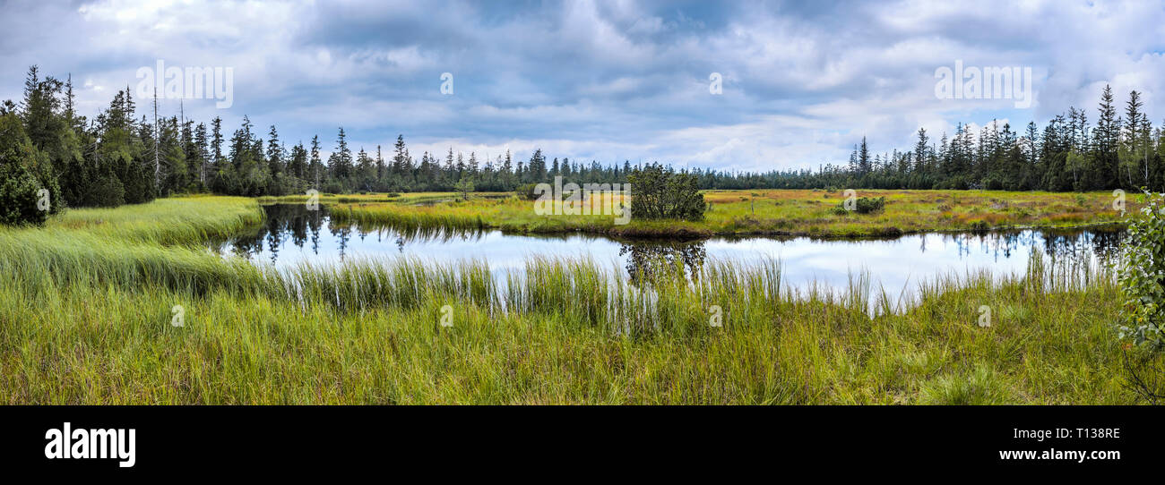Vista panoramica di sollevato bog Hohlohsee, frazione Kaltenbronn vicino a Gernsbach, Parco Naturale della Foresta Nera, Germania, sulla montagna Hohloh Foto Stock