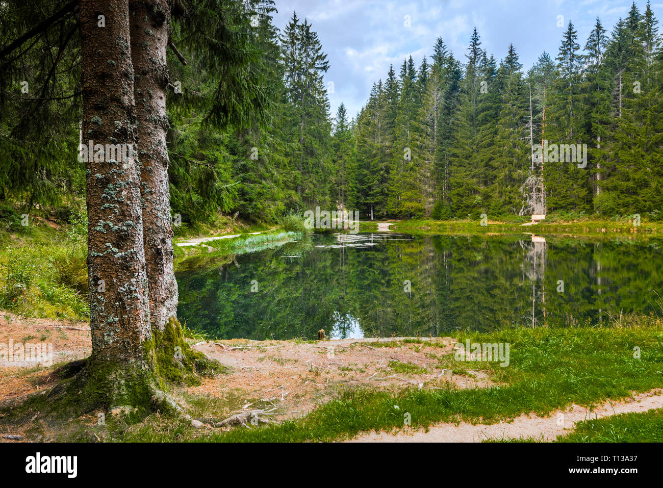 Lago artificiale Sandsee nella Foresta Nera settentrionale, comunità Bühl, Germania, precedentemente noto come riserva di acqua per il trasporto di legname Foto Stock