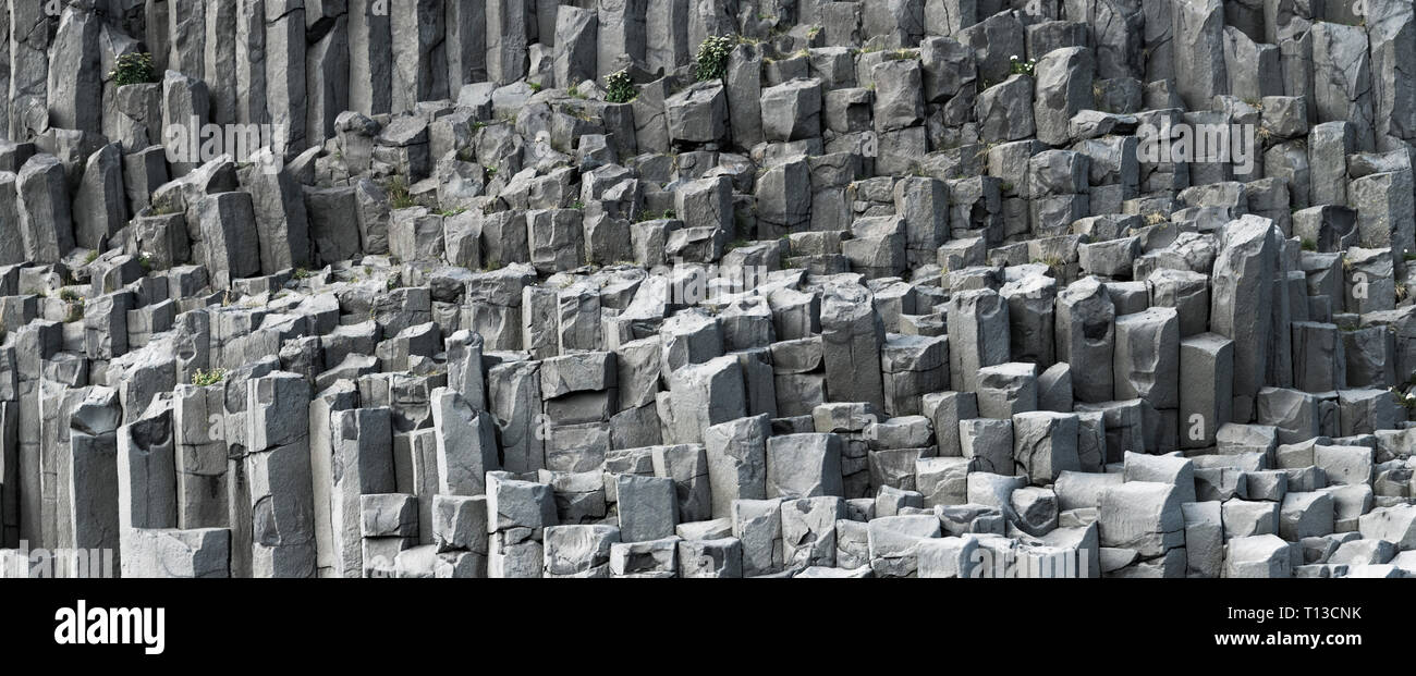 Rocce basaltiche che alla spiaggia nera, Reynisfjara, Vik, Islanda Foto Stock
