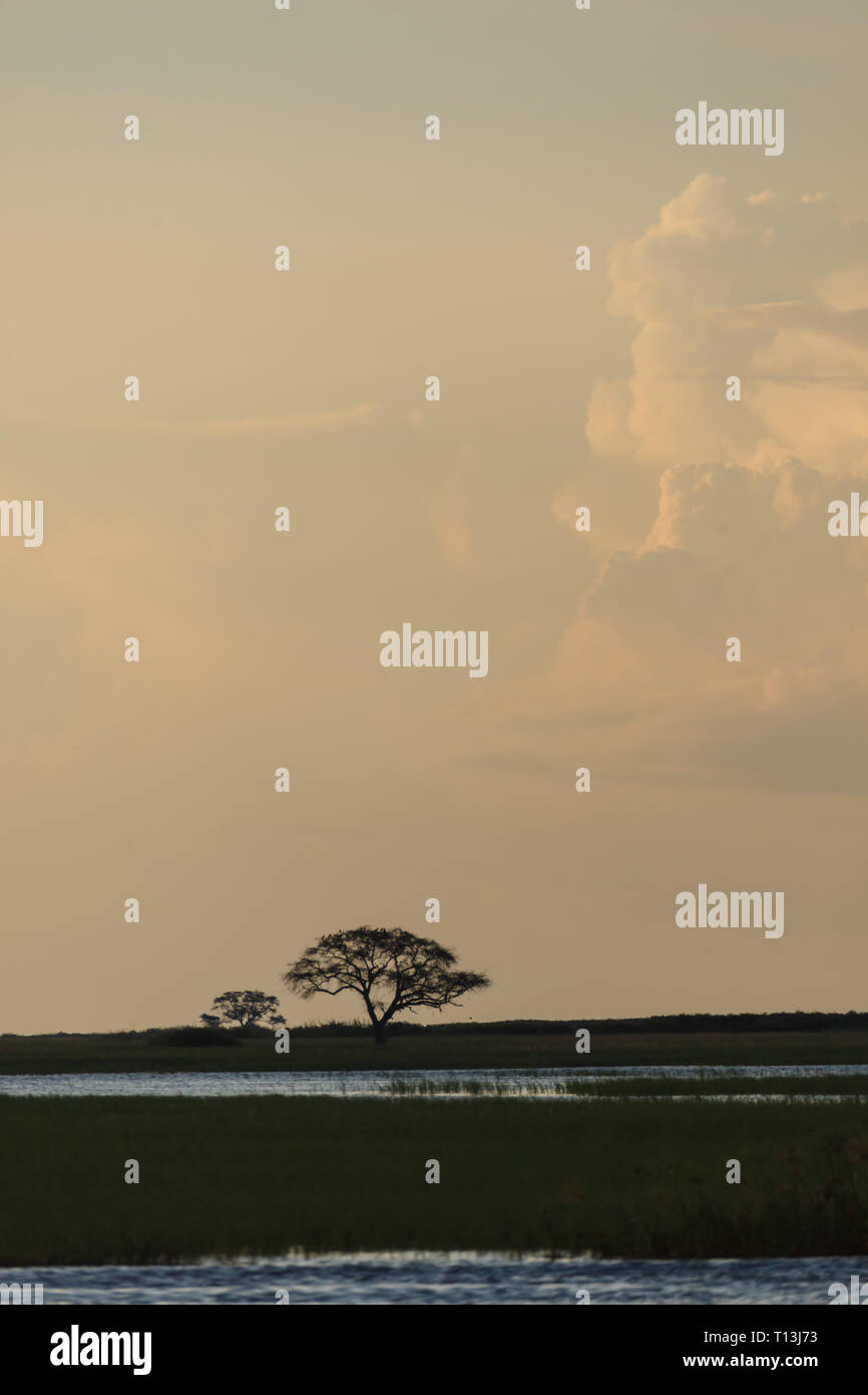 L arrivo di twilight visualizza colori delicati su alte nubi nel paesaggio africano Foto Stock