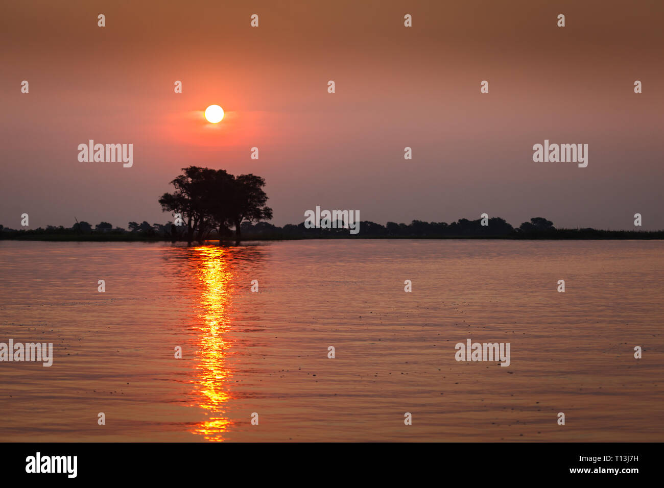 Tramonto visualizza il fascio di colore riflettendo sul fiume e scontornamento un albero di acacia Foto Stock